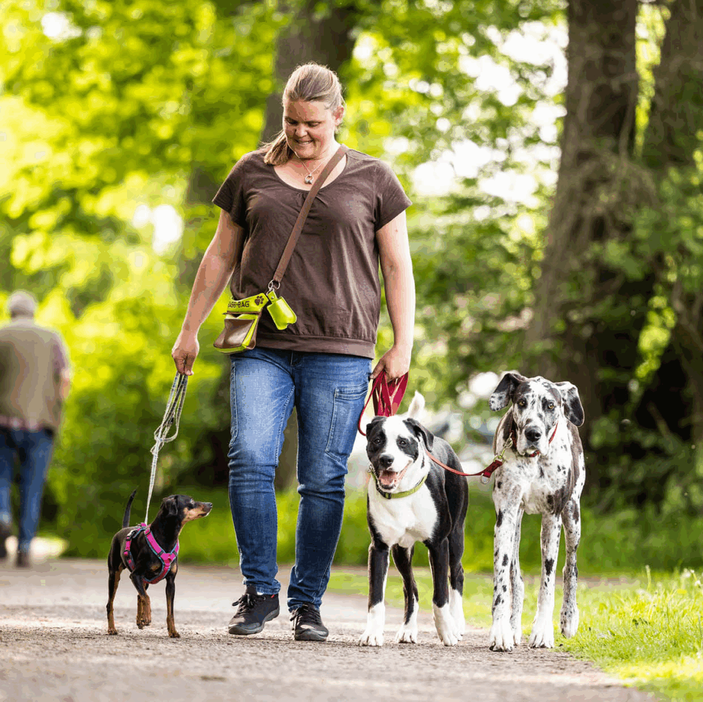 „Vanessa und ihre Kolleginnen haben immer ein offenes Ohr und vor allem Auge und Gespür für uns als Mensch-Hund Team. Toll finde ich auch die vielen verschiedenen Angebote, da ist für jedes Team das Richtige dabei und das Einzeltraining mit Vanessa hat uns tolle Fortschritte gebracht.“  Julia M. aus Wolfsburg